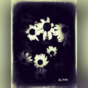 Black & White Floral Home Art Print 8x10